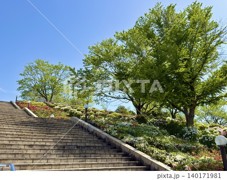 5月の西山公園のエントランス 5月の西山公園のエントランス 140171981