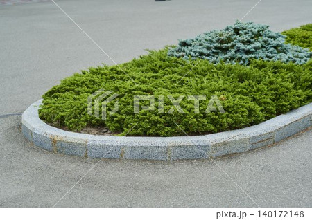 Green tranquility in a city park with carefully crafted shrubbery and stone borders 140172148