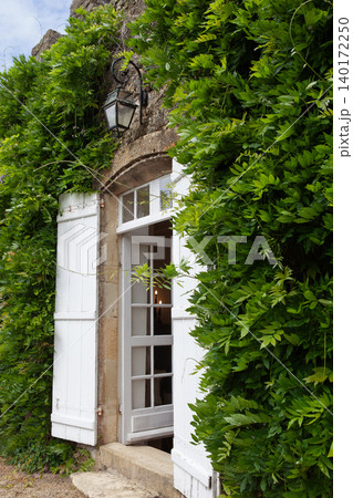 Wistaria on a stoned facade Wistaria on a stoned facade 140172250