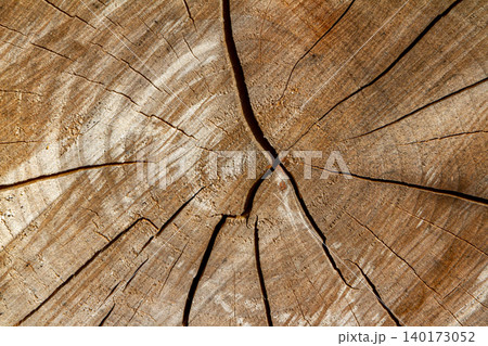 Background texture of a cracked and cut log of wood 140173052