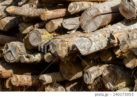 Texture of Stacked Firewood Logs Ready for Fireplace Burning Texture of Stacked Firewood Logs Ready for Fireplace Burning 140173053