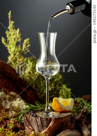 Gin or herbal bitter poured from a bottle into a glass, set among juniper branches, weathered driftwood and forest moss. 140173142