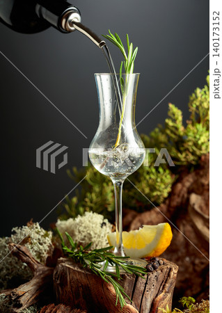 Gin or herbal bitter poured from a bottle into a glass, set among juniper branches, weathered driftwood and forest moss. 140173152