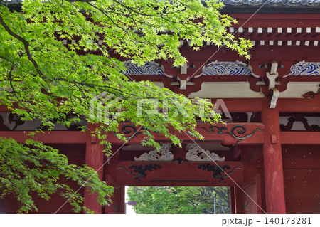 新緑が美しい春の山門 山門 仁王門 妙光院 新緑が美しい春の山門 山門 仁王門 妙光院 140173281