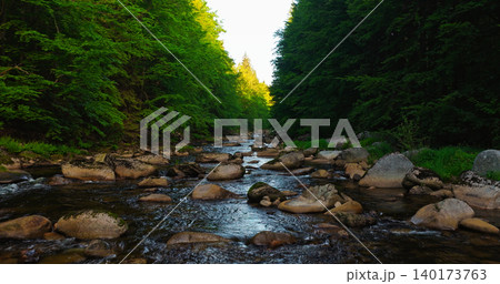 Scenic mountain river flowing through a dense green forest with large rocks and clear water. Peaceful wilderness landscape captured during spring, ideal for nature and travel themes. 140173763
