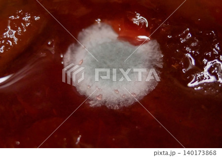 Macro close-up of mold colony on jam surface. Concept of food spoilage, hygiene, and microbiology Macro close-up of mold colony on jam surface. Concept of food spoilage, hygiene, and microbiology 140173868
