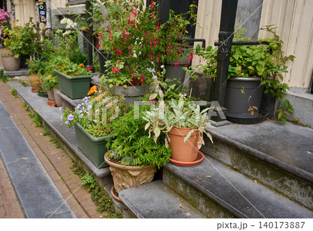 Vibrant Greenery and Colorful Blooms Transform a Charming Street Corner in Amsterdam, Creating a Picturesque Urban Oasis 140173887