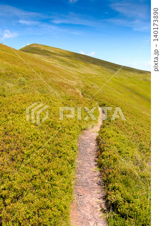 summer landscape. mountain path through the grassy slope turns uphill to the sky. scenic view. hiking trail path through borzhava ridge. travel ukraine mountains concept summer landscape. mountain path through the grassy slope turns uphill to the sky. scenic view. hiking trail path through borzhava ridge. travel ukraine mountains concept 140173890
