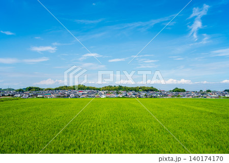 青空が広がる田園地帯と住宅街《夏の田んぼの風景》 青空が広がる田園地帯と住宅街《夏の田んぼの風景》 140174170
