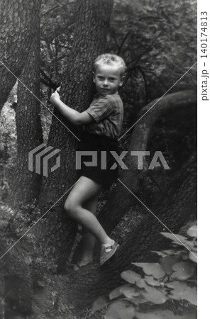 Young boy climbing a tree in Nikitsky Botanical Garden during a family trip in Crimea in 1971 140174813