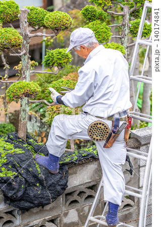 働く高齢者 地域社会に貢献 庭木の剪定サービス 腰袋 造園 職人 植木鋏 剪定鋏 蚊取り線香 働く高齢者 地域社会に貢献 庭木の剪定サービス 腰袋 造園 職人 植木鋏 剪定鋏 蚊取り線香 140174841