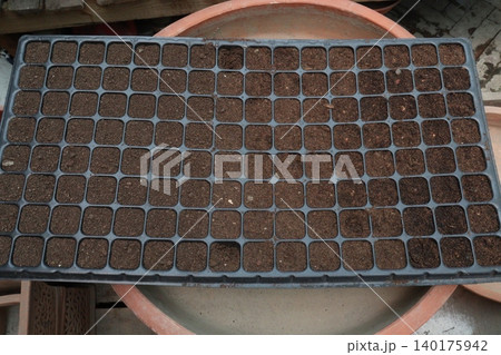 plastic seedling tray stock on farm plastic seedling tray stock on farm 140175942