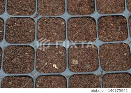 plastic seedling tray stock on farm plastic seedling tray stock on farm 140175945