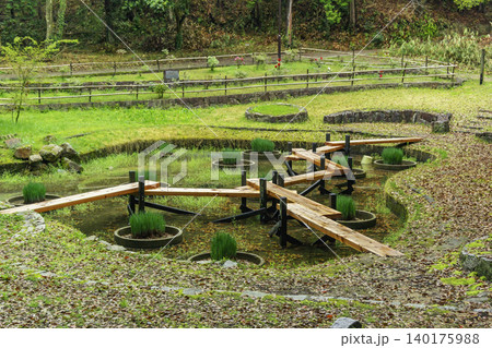 まきび公園 庭園 上の池とぼたん園 岡山県倉敷市 まきび公園 庭園 上の池とぼたん園 岡山県倉敷市 140175988