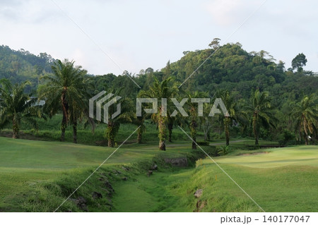 Tropical Palm Plantation Landscape in Thailand with Green Hills Tropical Palm Plantation Landscape in Thailand with Green Hills 140177047