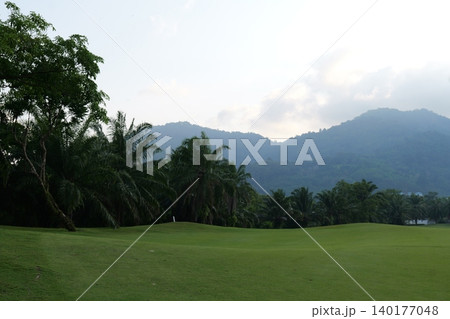 Tropical Palm Plantation Landscape in Thailand with Green Hills 140177048