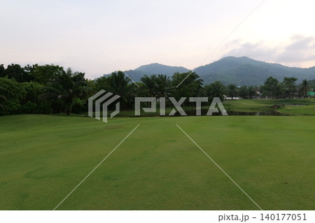 Tropical Palm Plantation Landscape in Thailand with Green Hills Tropical Palm Plantation Landscape in Thailand with Green Hills 140177051