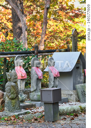 草津温泉 西の河原公園 美しい紅葉(群馬県吾妻郡草津町) 草津温泉 西の河原公園 美しい紅葉(群馬県吾妻郡草津町) 140177609