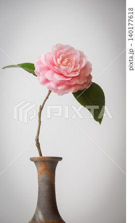 椿の一輪ざし 140177618