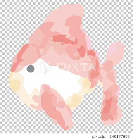 水彩画風 金魚(紅白)手書きイラスト素材 水彩画風 金魚(紅白)手書きイラスト素材 140177696