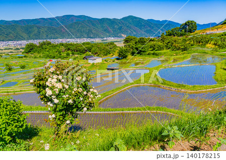 【長野県】姨捨の棚田・田植えの季節 【長野県】姨捨の棚田・田植えの季節 140178215