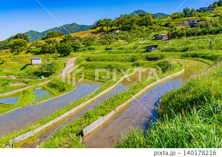 【長野県】姨捨の棚田・田植えの季節 【長野県】姨捨の棚田・田植えの季節 140178216