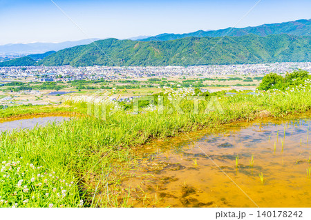 【長野県】姨捨の棚田・田植えの季節 【長野県】姨捨の棚田・田植えの季節 140178242