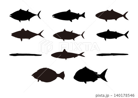 寿司ネタで人気の魚シルエットセット(マグロ・ビンナガ・マダイ・ヒラメ・アジ・イワシ・サバ・サーモン) 寿司ネタで人気の魚シルエットセット(マグロ・ビンナガ・マダイ・ヒラメ・アジ・イワシ・サバ・サーモン) 140178546