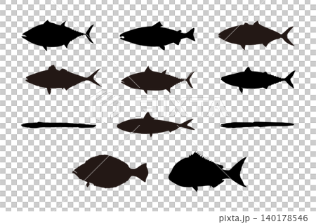 寿司ネタで人気の魚シルエットセット(マグロ・ビンナガ・マダイ・ヒラメ・アジ・イワシ・サバ・サーモン) 寿司ネタで人気の魚シルエットセット(マグロ・ビンナガ・マダイ・ヒラメ・アジ・イワシ・サバ・サーモン) 140178546