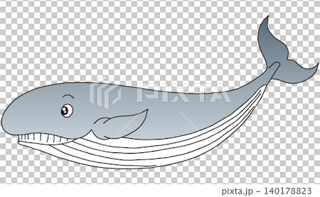 手書き動物イラスト☆クジラ 140178823