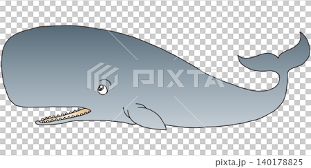 手書き動物イラスト☆クジラ 140178825