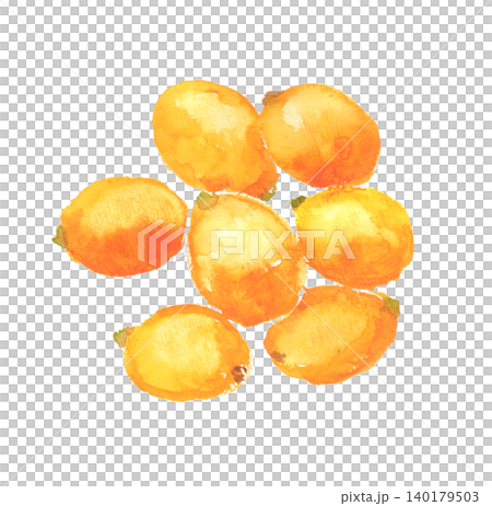 枇杷水彩插圖 枇杷水彩插圖 140179503
