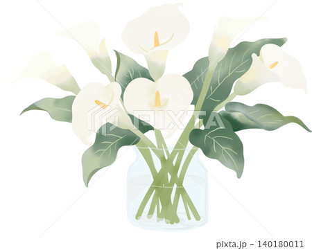 Elegant white calla lilies arranged in a clear glass vase, featuring soft watercolor textures and lush green foliage. Elegant white calla lilies arranged in a clear glass vase, featuring soft watercolor textures and lush green foliage. 140180011