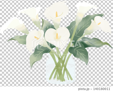 Elegant white calla lilies arranged in a clear glass vase, featuring soft watercolor textures and lush green foliage. 140180011