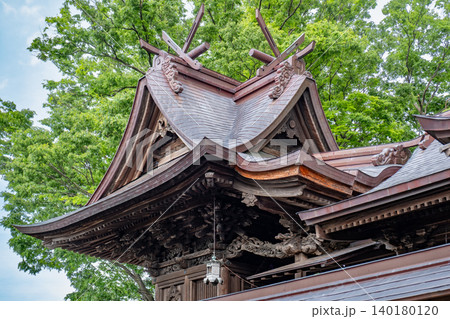 聖神社(ひじりじんじゃ)本殿 鳥取県鳥取市 聖神社(ひじりじんじゃ)本殿 鳥取県鳥取市 140180120