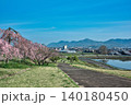【宗吉かわら】のしだれ桜 (香川県三豊市三野町) 140180450