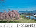 【宗吉かわら】のしだれ桜 (香川県三豊市三野町) 140180452