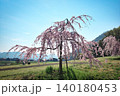 【宗吉かわら】のしだれ桜 (香川県三豊市三野町) 140180453