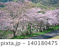 【満水池】の桜 (香川県三豊市高瀬町) 140180475