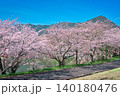 【満水池】の桜 (香川県三豊市高瀬町) 140180476