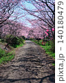 【満水池】の桜 (香川県三豊市高瀬町) 140180479