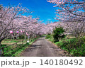 【満水池】の桜 (香川県三豊市高瀬町) 140180492