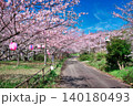 【満水池】の桜 (香川県三豊市高瀬町) 140180493