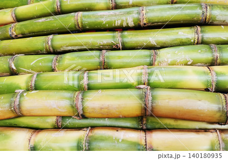 fresh sugar cane texture fresh sugar cane texture 140180935