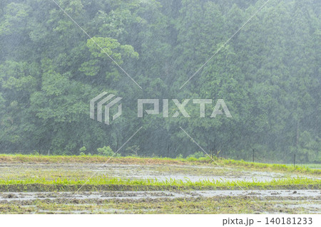 山間に降る大雨 自然豊かな風景と豪雨 山間に降る大雨 自然豊かな風景と豪雨 140181233