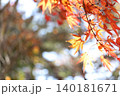紅葉したモミジ 140181671