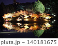 ライトアップされた紅葉 140181675