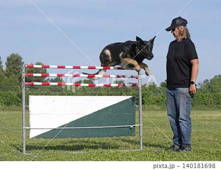 training of german shepherd 140181698