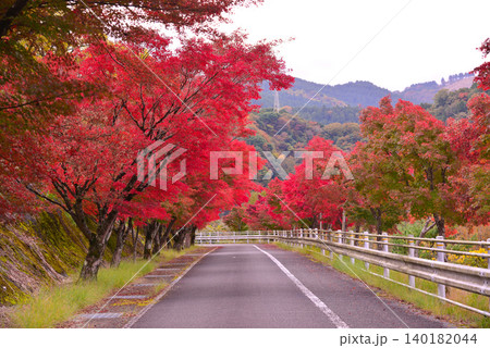 丹沢湖の紅葉 丹沢湖の紅葉 140182044