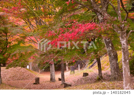 丹沢湖の紅葉 丹沢湖の紅葉 140182045